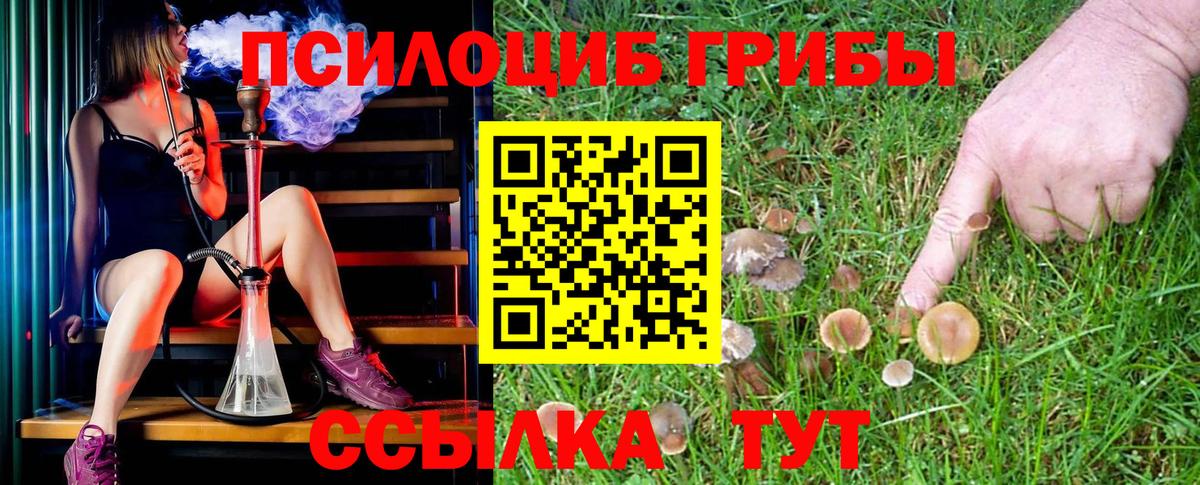 Псилоцибиновые грибы Magic Shrooms  Вход с VPN  Саяногорск 